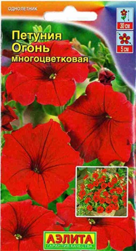 Аэлита петуния Огонь Многоцветковая