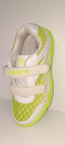 Кроссовки Zebra белый, зеленый