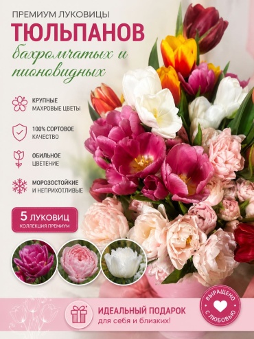 Тюльпан Смесь сортовая