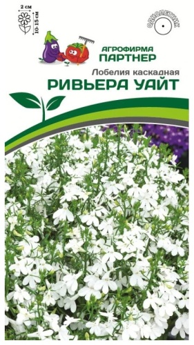 Партнер лобелия РИВЬЕРА УАЙТ