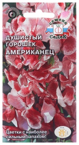 СеДеК душистый горошек Американец