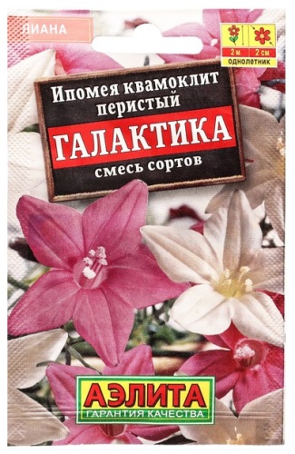 Аэлита ипомея Квамоклит Галактика
