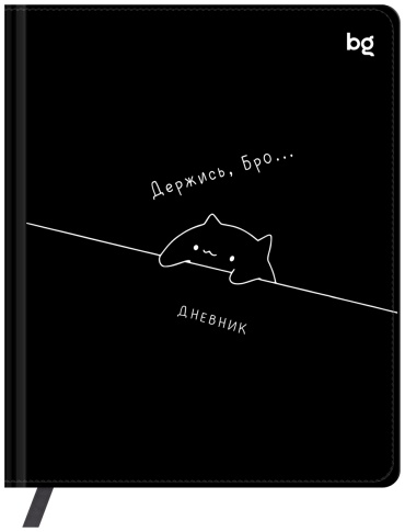 Дневник школьный BG Держись D5h48_64457, 48 л