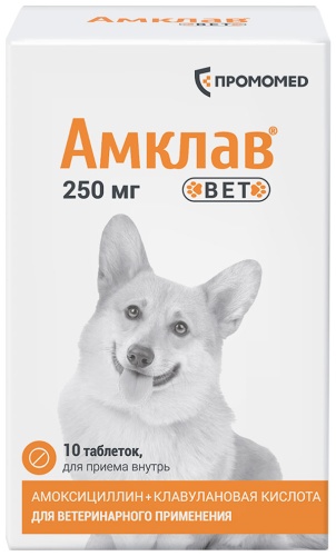 Промомед Амклав антибиотик 250 мг 10 таблеток