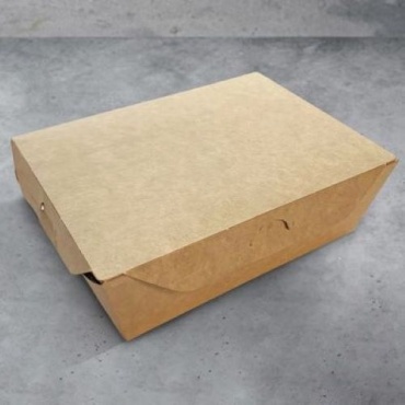 Коробка НЕПЛАСТИК 19-4202 картон, крафт-бумага 15 см 150 шт