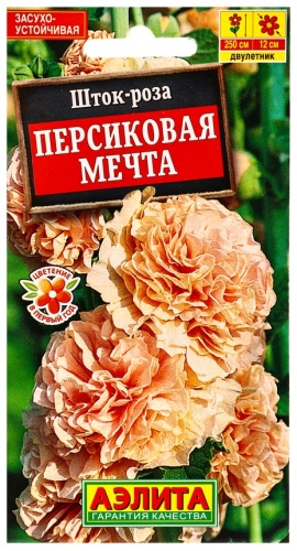 Аэлита штокроза Персиковая мечта Дв
