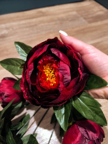 Фото 4