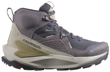 Ботинки Salomon фиолетовый