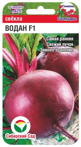 Сибирский сад свёкла Водан F1
