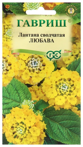 Гавриш лантана Любава»