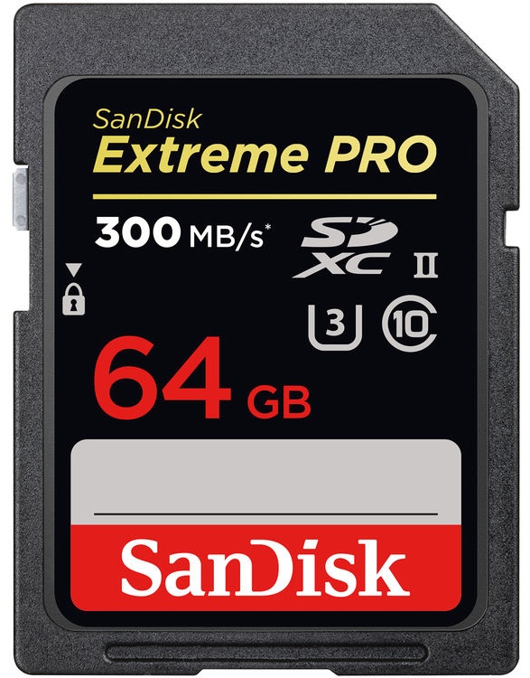 Карта памяти SanDisk Secure Digital XC SDSDXDK-064G-GN4IN 64 Гб