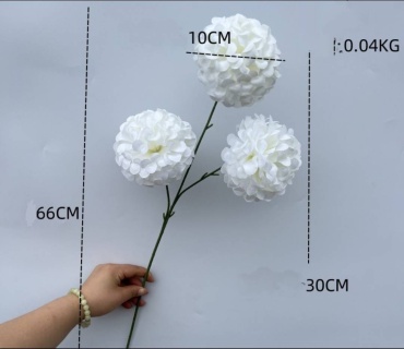 Фото 3