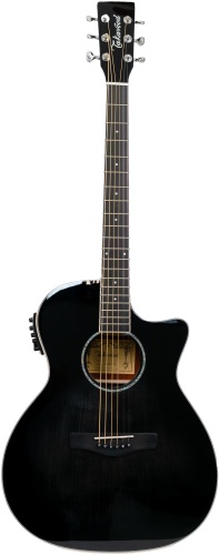 Гитара акустическая Takavood Artmusical.kz T20GAC-TBK EQ синий, черный