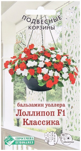 Евросемена бальзамин уоллера Лоллипоп