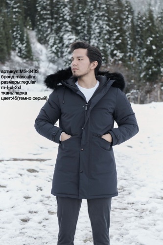 Парка Masculino графит