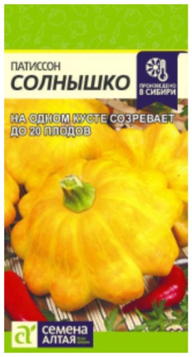 Семена Алтая патиссон Солнышко