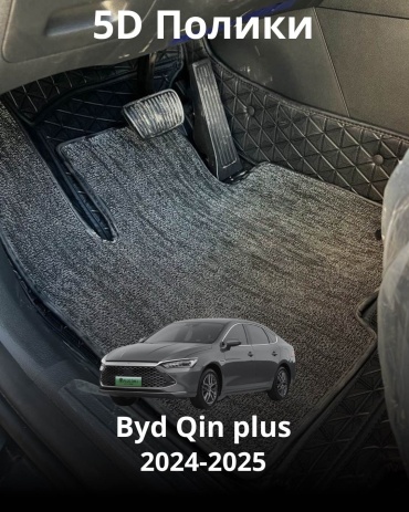 30394000_399152579 BYD Qin Plus 2024-2025 черный