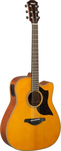 A1M