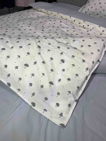 Комплект Linvera Cotton 11 1.5-спальный хлопок, 1 наволочка: 50x70 см