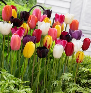 Фото 2