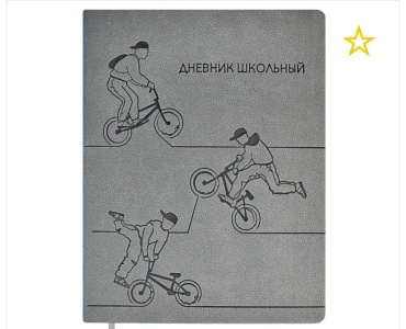 Дневник школьный Мальчик 34567, 48 л