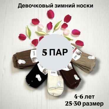 Носки SPEED WIN R3454 5 пар мультиколор 25-30