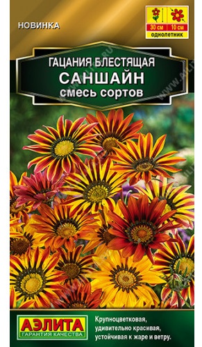 Аэлита гацания Саншайн