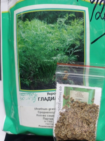 Поиск укроп Гладиатор