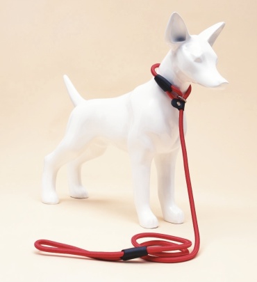 Pet Fashion ринговка Р1130 полиэстер, длина 1.3 м