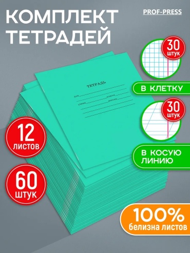 Набор школьных тетрадей Набор из 60 тетрадей Prof-Press формата А5 с 12 листами в клетку и косую линейку. Зеленые однотонные, 12 л, А5, комбинированная, мягкая обложка, 60 шт