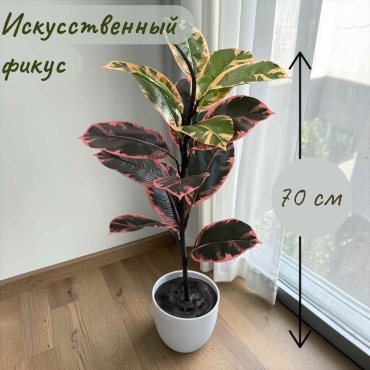Цветок МИА фикус 70 см, Fic004