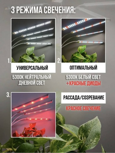Фото 4