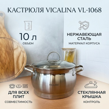 Кастрюля 10 л, Vicalina VL-1068 сталь
