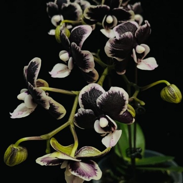 Фото 2