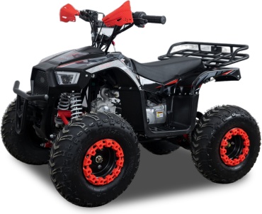 Квадроцикл MOTAX ATV Grizlik Lux детский 110 куб. см 
черный