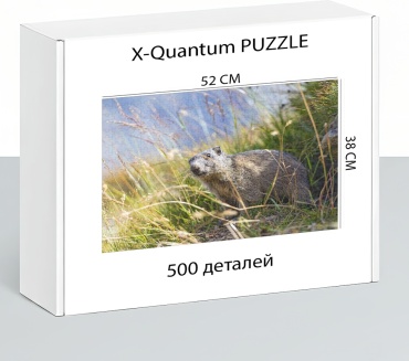 X-Quantum puzzle_gbjpjl7pah классический 500 деталей