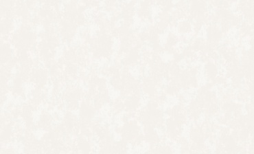 Обои Erismann Bravissimo 61017-03, основа флизелин (10.05x1.06 м)