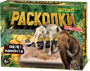 Проведение раскопок IQ Эксперимент FLS03-RU