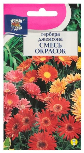 Урожай удачи гербера "Джемсона"