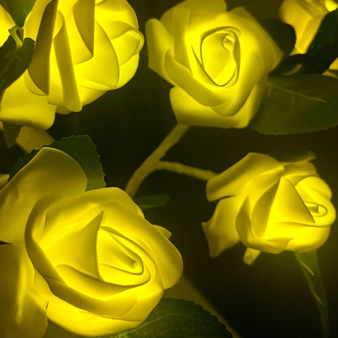 Фото 4
