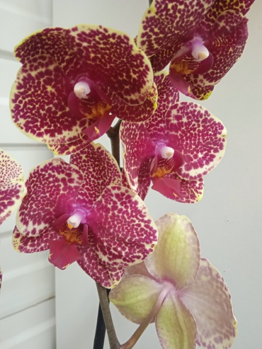Фото 2