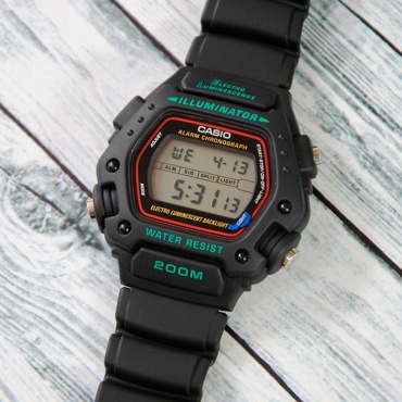 Кварцевые CASIO DW-290-1VS полимерный пластик