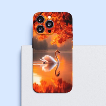 Чехол для Apple iPhone Xs рисунок