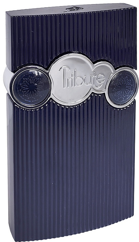 Afnan Tribute Blue парфюмерная вода EDP 100 мл, для мужчин