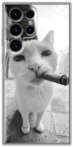 Чехол для Samsung Galaxy S25 Ultra рисунок