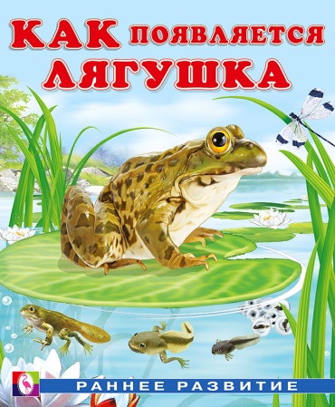 Как появляется лягушка. Раннее развитие, И. Гурина