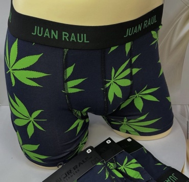 Боксеры Juan Raul зеленый, темно-синий