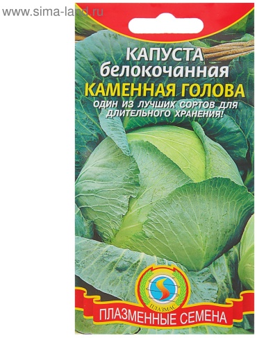 ПЛАЗМАС капуста белокачанная Каменная голова