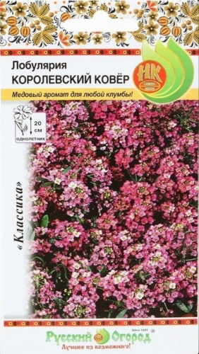 Русский огород лобулярия Лобулярия Королевский ковер НК Ц