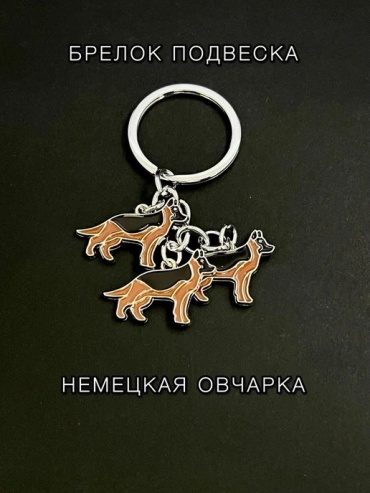 Брелок 121JOY 645813 4*8 металл 1 шт